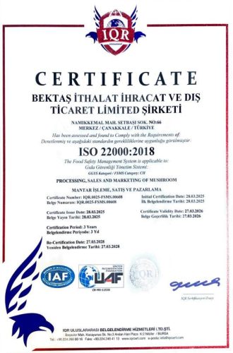 bektas2025iso22000