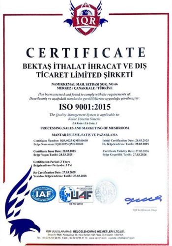 bektas2025iso9001